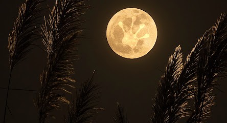 Empreinte Numérique, Concepteur de Sites Web à Monoblet