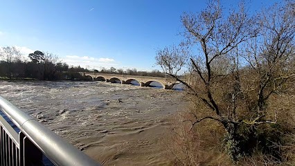 MC Tendance Web, Concepteur de Sites Web à Roques