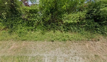 De Sainte Marie Fabrice, Concepteur de Sites Web à Reyrieux