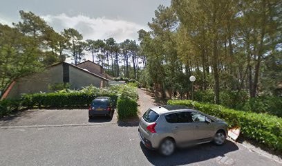 Black Lotus, Concepteur de Sites Web à Seignosse