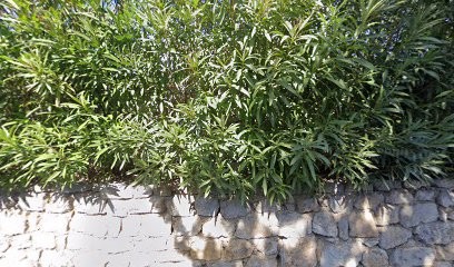 Paul Comm, Concepteur de Sites Web à Montauroux