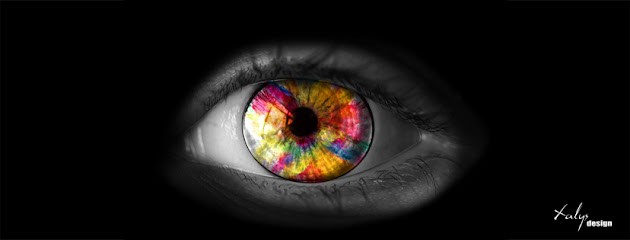 XALYS DESIGN, Concepteur de Sites Web à Lavérune