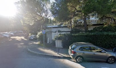 Smalt, Concepteur de Sites Web à Marseille 08