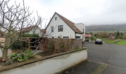 Wisuo, agence de création de sites internet et contenus graphiques, Concepteur de Sites Web à Châtenois