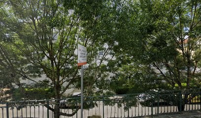 Colibird, Concepteur de Sites Web à Lagny-sur-Marne