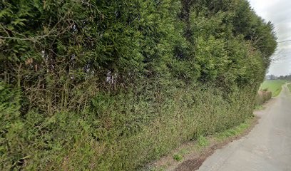 Le Jardin Des Chimères, Concepteur de Sites Web à Pocé-les-Bois