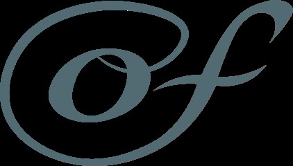 Otis FERU, Concepteur de Sites Web à Audenge