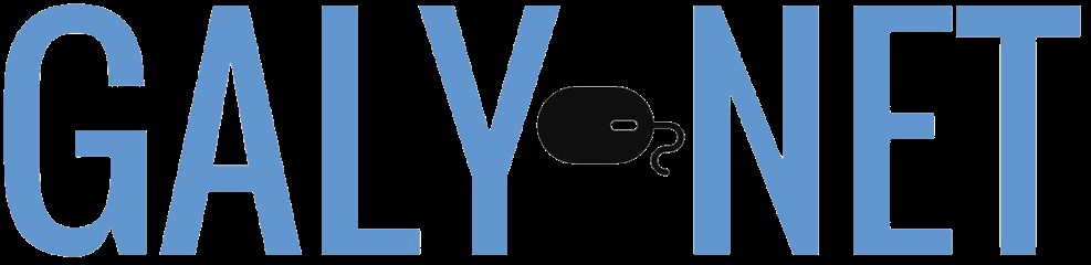 Galy-net, Concepteur de Sites Web à Villy-Bocage