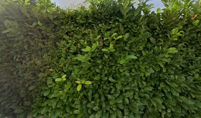 OVACEM, Concepteur de Sites Web à Nîmes