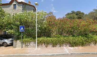 BONNANT MARC TONY, Concepteur de Sites Web à Porto-Vecchio