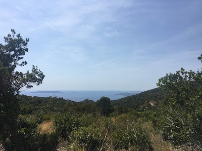 AS-TEK, Concepteur de Sites Web à Rueil-Malmaison