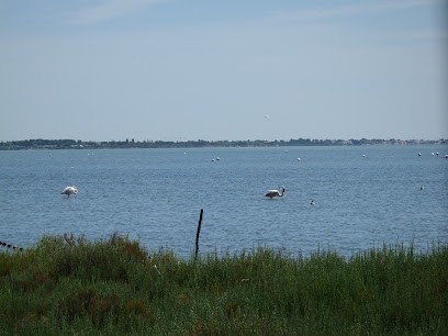 Webmastering Et Gestion E-Commerce, Concepteur de Sites Web à Palavas-les-Flots