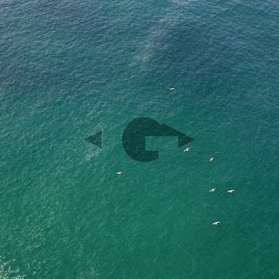 Sgcom - Sylvain Gourcy, Concepteur de Sites Web à Seignosse