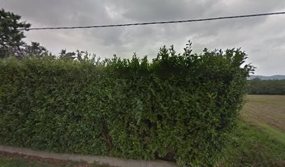 Must-Interactive SARL, Concepteur de Sites Web à Jaillans