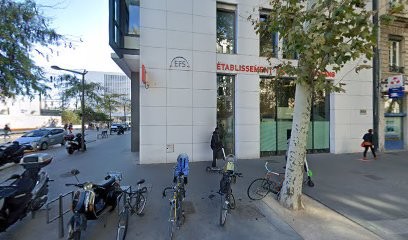 Web We Can, Concepteur de Sites Web à Lyon 02