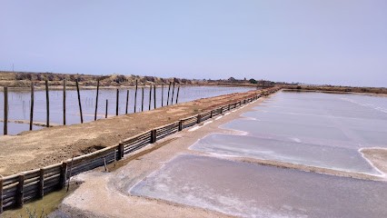 Lila Rubarbe Creation sites internet SEO WebMarketing, Concepteur de Sites Web à Ernée