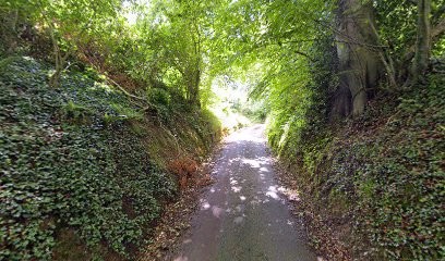 Anima Net, Concepteur de Sites Web à Offranville