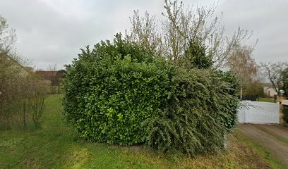 ProMairie, Concepteur de Sites Web à Louchy-Montfand