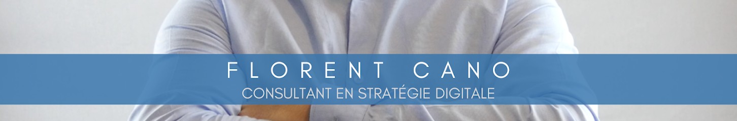 Florent Cano Consulting, Concepteur de Sites Web à Saint-Cyprien