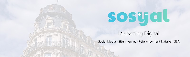 Sosyal, Concepteur de Sites Web à Saint-Jean-de-Védas