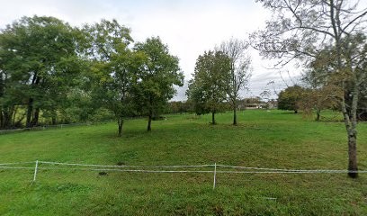 Julie K Studio, Concepteur de Sites Web à Saillenard