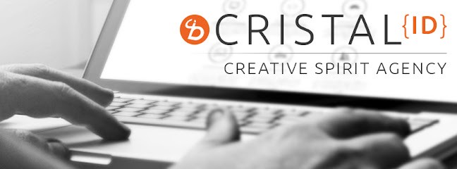 Cristal'ID, Concepteur de Sites Web à Villeneuve-d'Ascq