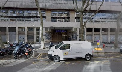 Dacrydium, Concepteur de Sites Web à Lyon 03