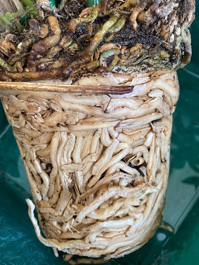 Webmaster Design & Creation, Concepteur de Sites Web à Valenciennes