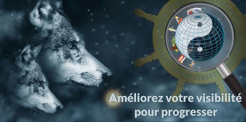 Cyberloupe, Concepteur de Sites Web à Surville