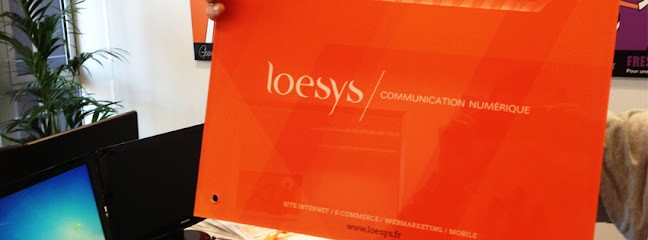 Loesys, Concepteur de Sites Web à Plédran