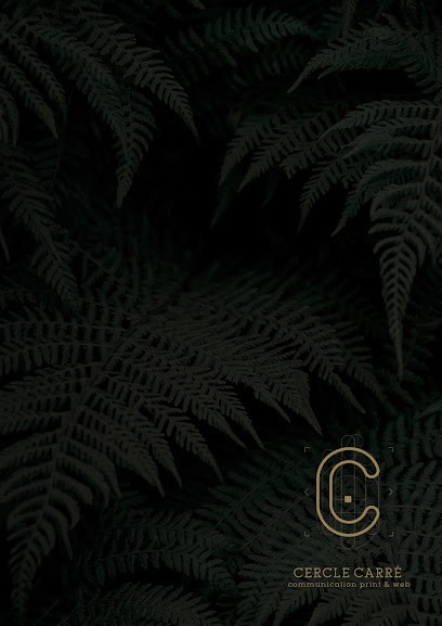 Cercle Carré, Concepteur de Sites Web à Amiens