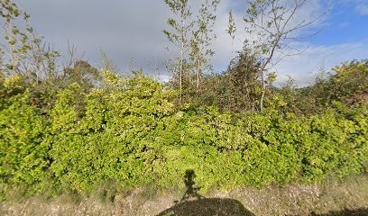 Amweb, Concepteur de Sites Web à Palaja