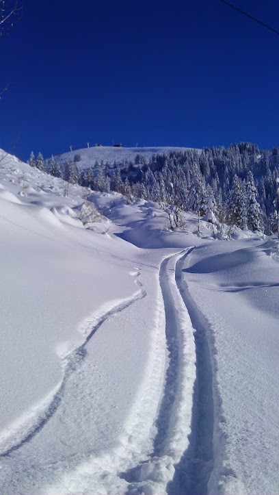 CCHOUETTE MULTIMEDIA, Concepteur de Sites Web à La Balme-de-Sillingy