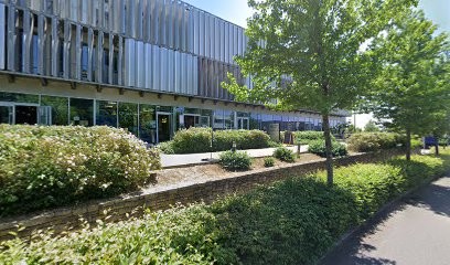 Lycanthrop, Concepteur de Sites Web à Saint-Herblain