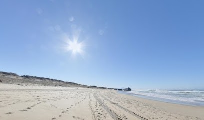 Patrice Fillonneau - Visite Virtuelle 360° |🌠 Affichage Dynamique 📱, Concepteur de Sites Web à Labenne