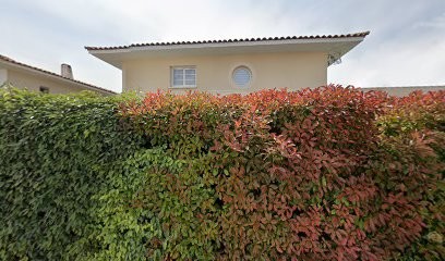 OnlineVille, Concepteur de Sites Web à Clapiers