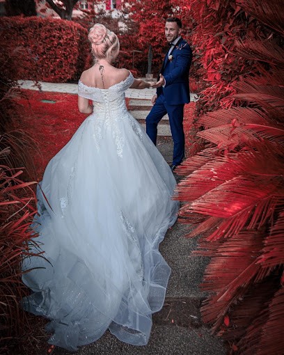 Digital Carlos, Concepteur de Sites Web à Pignans