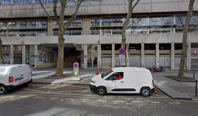 Canari Studio, Concepteur de Sites Web à Lyon 03