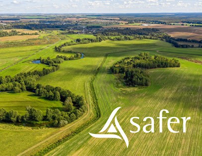 Keole & Gazoline, Concepteur de Sites Web à Saint-Jean-de-Védas