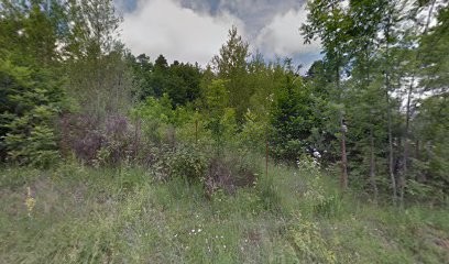 Volcanographics, Concepteur de Sites Web à Murol