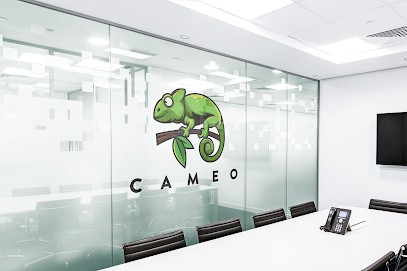 CAMEO, Concepteur de Sites Web à Mulhouse