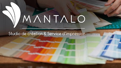 Mantalo Conseil, Concepteur de Sites Web à Sanilhac