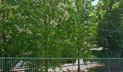 M3a - Multim3dia, Concepteur de Sites Web aux Pavillons-sous-Bois