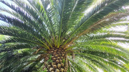 Webcreadev, Concepteur de Sites Web à Antony