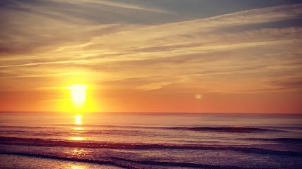 Y.Masrevery, Concepteur de Sites Web à Grayan-et-l'Hôpital