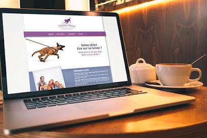 Clément DROFF, Webmaster Wordpress - Création De Sites Web à Rennes, Concepteur de Sites Web à La Bouëxière