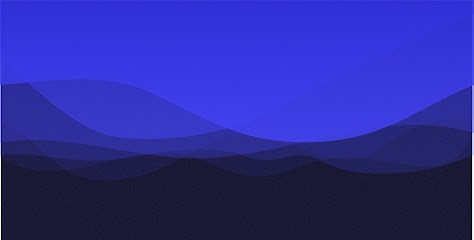 Les Animals, Concepteur de Sites Web à Lyon 02