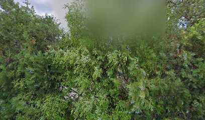 XDTech, Concepteur de Sites Web à L'Arbresle