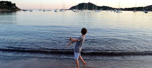 Ricochets, Trichard JF, Concepteur de Sites Web au Vibal