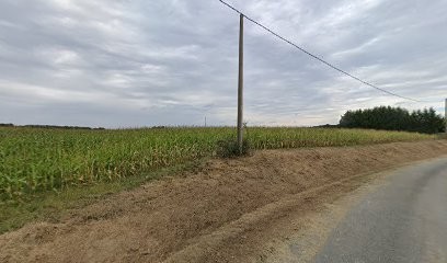 The Alternative Office, Concepteur de Sites Web à Sadournin